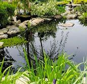 Water Feature Workshop article (PART ONE) in the Poughkeepsie Journal